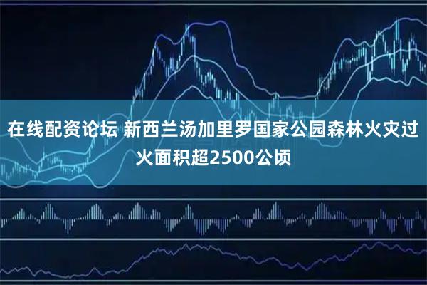 在线配资论坛 新西兰汤加里罗国家公园森林火灾过火面积超2500公顷